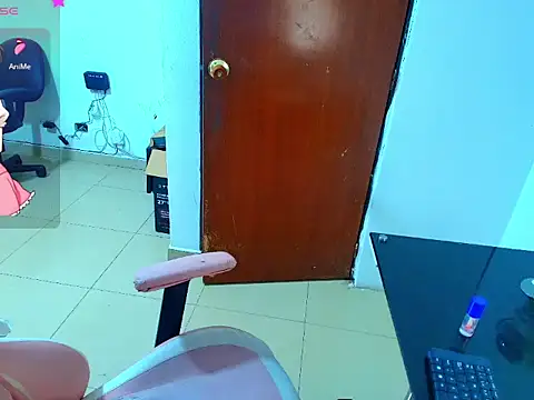 hanna_2026 webcam