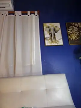 NovaFoxx webcam