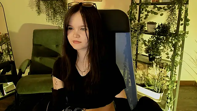 Elainebeness webcam