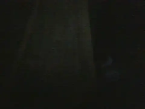 smroy93612 webcam