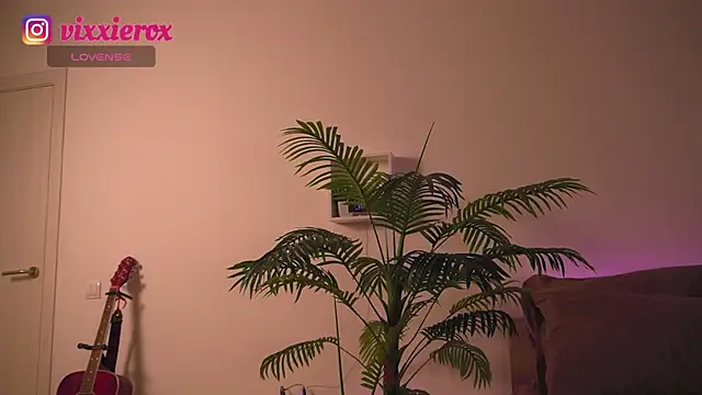 ViXXXiee webcam