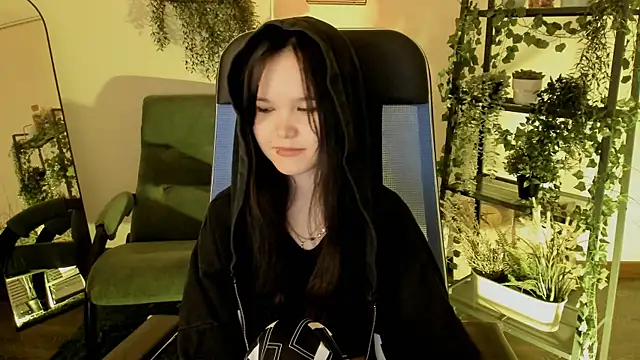 Elainebeness webcam