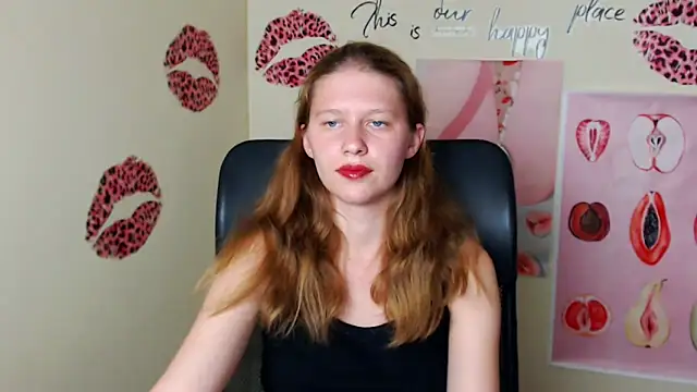 StellaCRL webcam