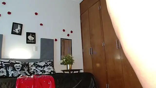 3littles webcam