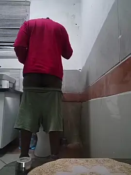 Thaps_deDick webcam