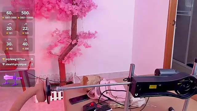 May_Fox_ webcam