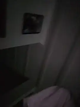 Dthang1 webcam