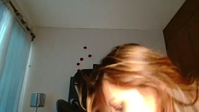 3littles webcam