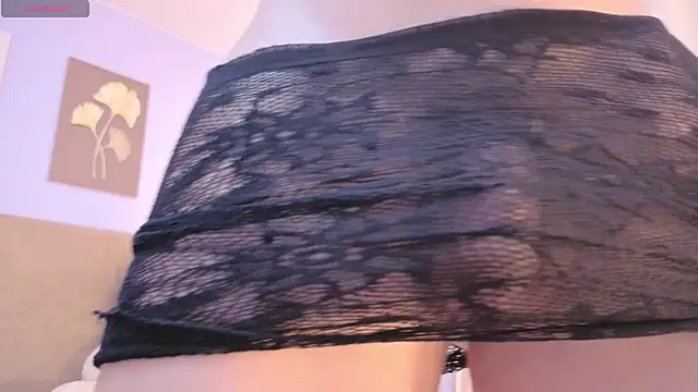 SALOME_F0X_ webcam