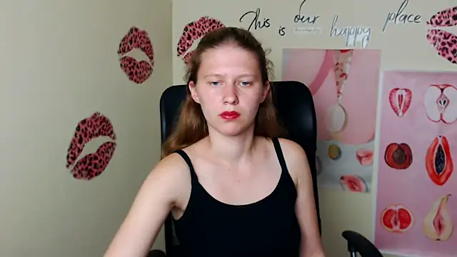 StellaCRL webcam