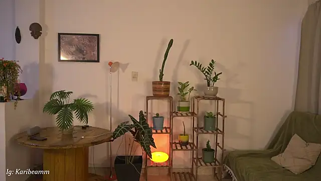 Karibeam webcam