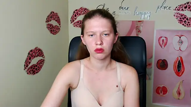 StellaCRL webcam