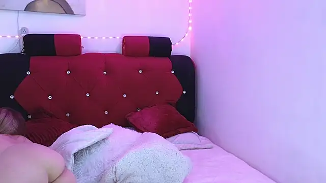sara-smi webcam