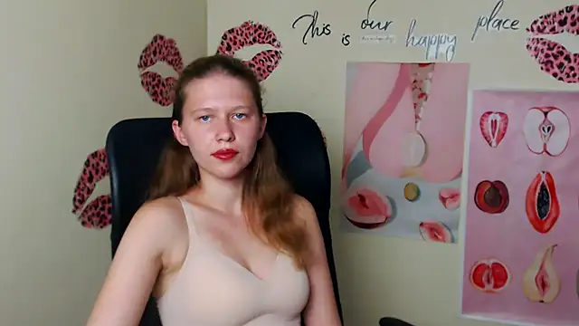 StellaCRL webcam