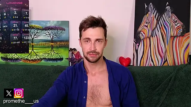 Promethe_us webcam