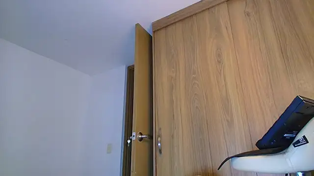 SARA_TS_FOX webcam