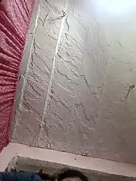 Deepjakolirr webcam