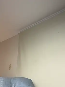 Samispank webcam