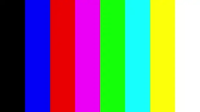 CarlettaFischbein webcam