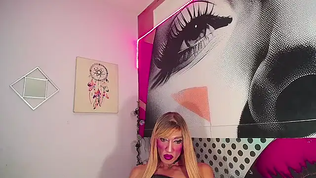 karlaveckyts webcam