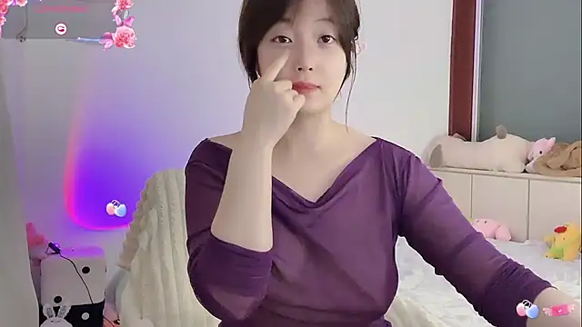 _flipped_ webcam