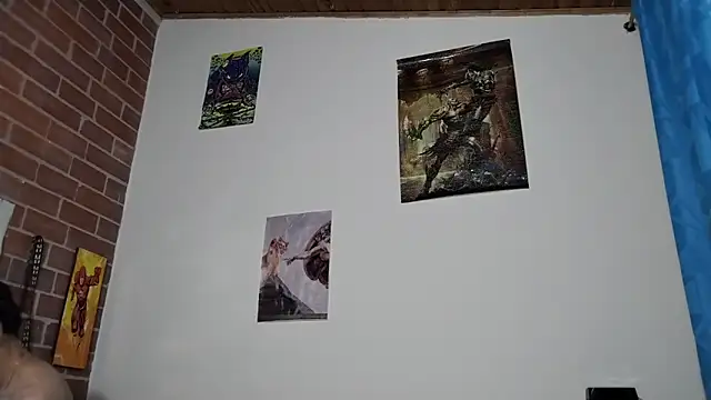 PaulDamico webcam