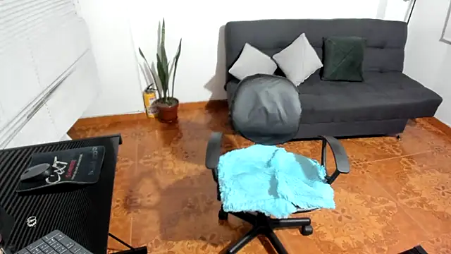 LinaBrowm webcam