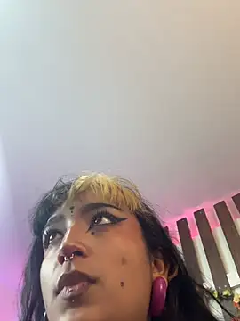 MeowMota_ webcam