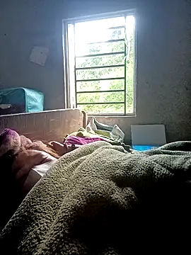 nat-tri webcam
