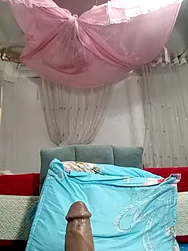 MilkShow webcam