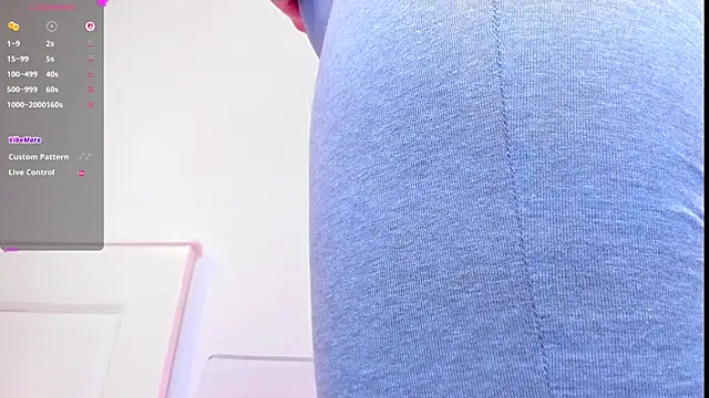 Aidasina webcam
