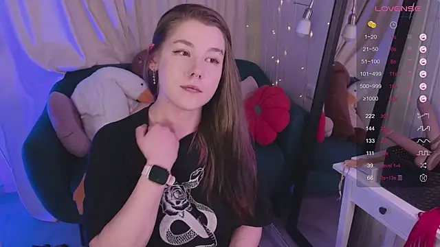 Mira_Falls webcam