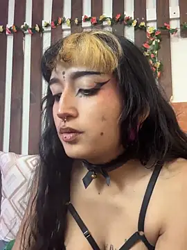 MeowMota_ webcam