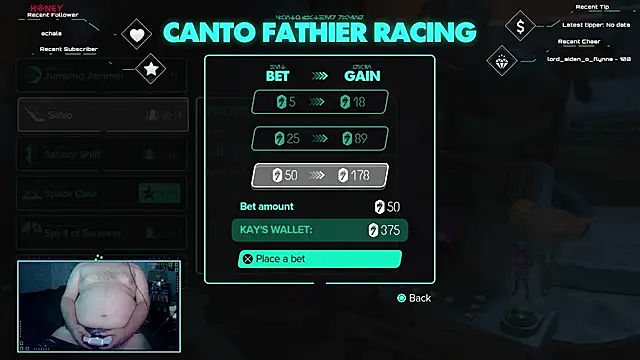 bottombeargaming webcam