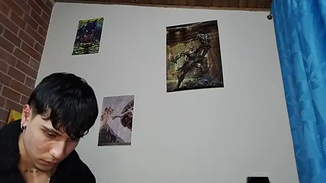 PaulDamico webcam