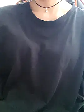 Aashikalaa webcam