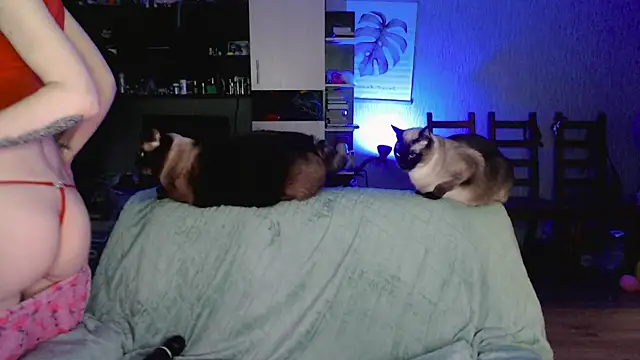 mischellemeow13 webcam