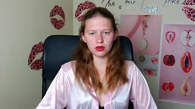 StellaCRL webcam