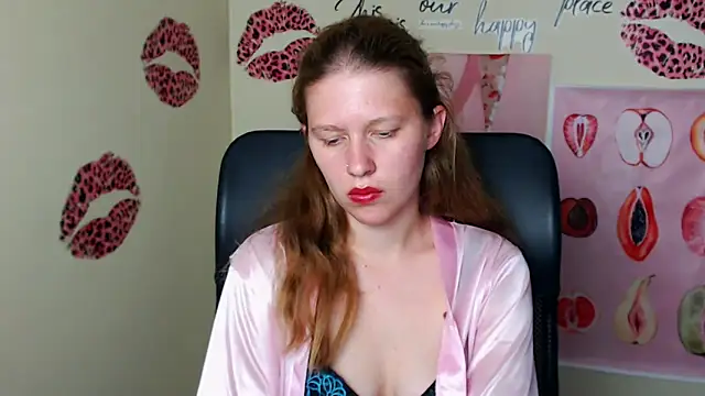StellaCRL webcam
