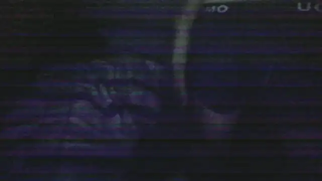 chceciedalsiebie webcam