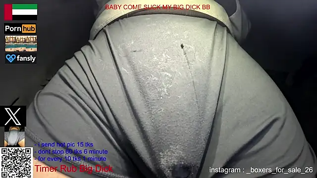 bfs26 webcam