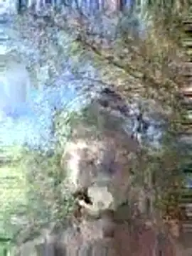 Andypie6 webcam