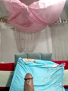 MilkShow webcam