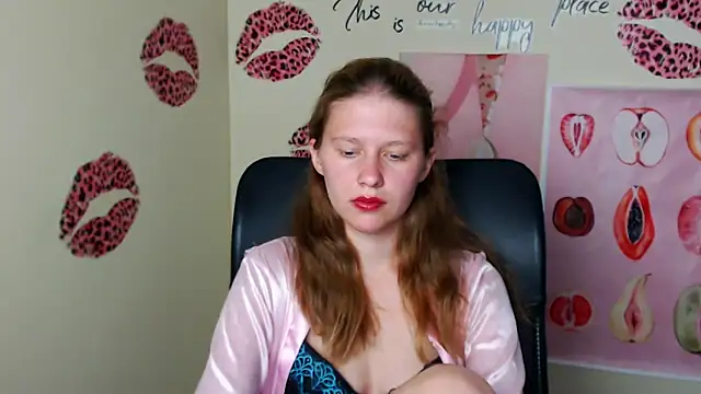 StellaCRL webcam