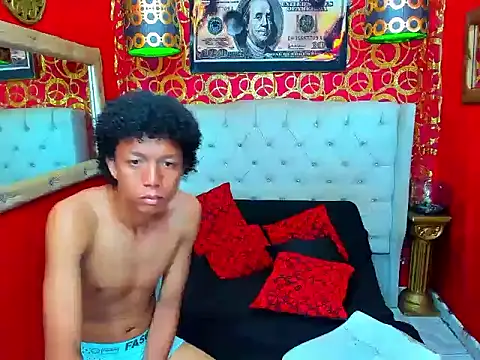 PEINBOYS webcam