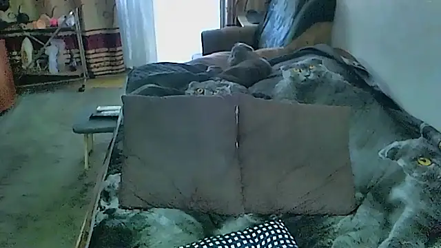 sex2 webcam