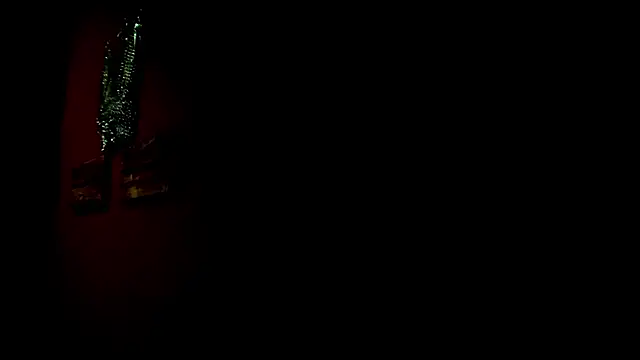 Alexa_Slave webcam