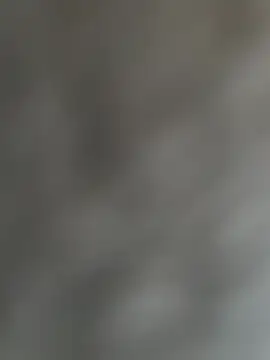makeDollywet