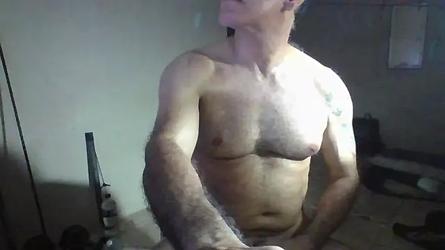 CaptainFox webcam