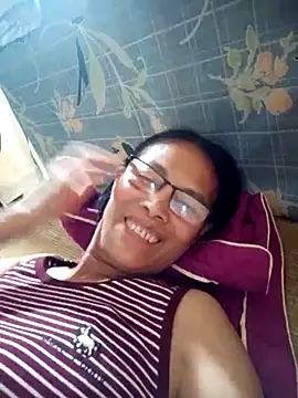 toyo_668 webcam